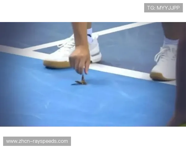 全运会赛场飞蛾事件后续:官方加强防虫预案与环境管理 全运会赛场飞蛾事件后续:官方加强防虫预案与环境管理